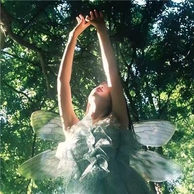 逗逗迪迪之美梦年年