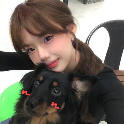 隆美尔宝藏
